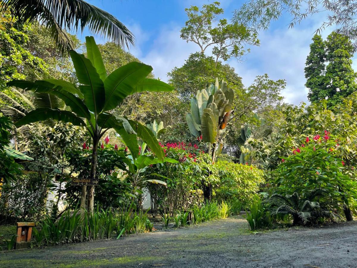 El Campito Lodge Ayampe Exterior photo